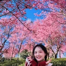 大理州旅游 缩略图 4