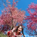 大理州旅游 缩略图 1