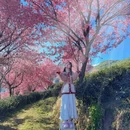 大理州旅游 缩略图 5