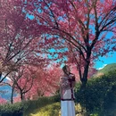 大理州旅游 缩略图 7