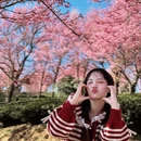 大理州旅游 缩略图 9