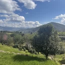 楚雄州旅游 缩略图 4