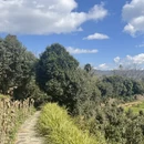 楚雄州旅游 缩略图 5