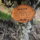 楚雄州旅游 缩略图 7