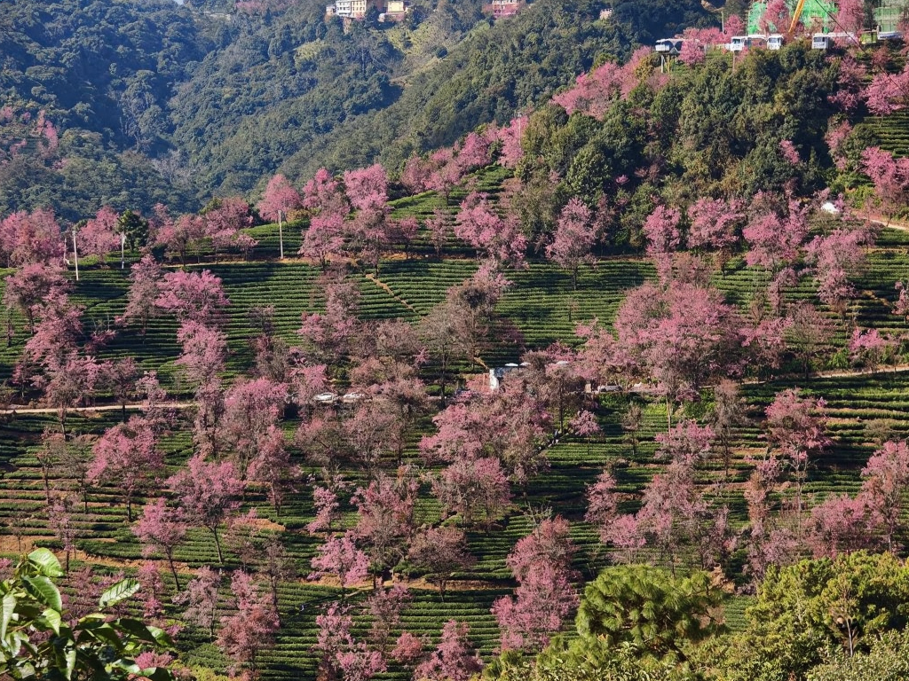 大理州旅游
