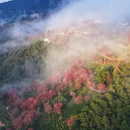 大理州旅游 缩略图 5