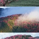 大理州旅游 缩略图 6