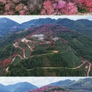 大理州旅游 缩略图 7
