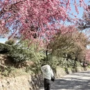 大理州旅游 缩略图 1