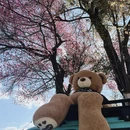 大理州旅游 缩略图 5