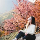 大理州旅游 缩略图 8