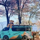 大理州旅游 缩略图 3