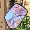 大理州旅游 缩略图 7
