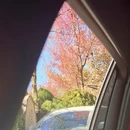 大理州旅游 缩略图 14