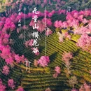 大理州旅游 缩略图 1