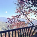 大理州旅游 缩略图 12