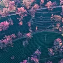 大理州旅游 缩略图 7