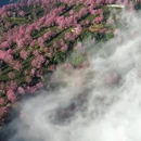 大理州旅游 缩略图 5