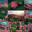 大理州旅游 缩略图 1