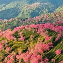 大理州旅游 缩略图 8
