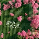 大理州旅游 缩略图 4