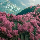 大理州旅游 缩略图 5