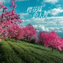 大理州旅游 缩略图 7