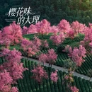 大理州旅游 缩略图 3