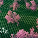 大理州旅游 缩略图 9