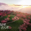 大理州旅游 缩略图 2