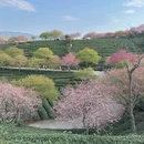 龙岩旅游 缩略图 4
