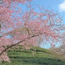 龙岩旅游 缩略图 1