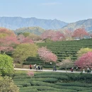 龙岩旅游 缩略图 3