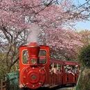 龙岩旅游 缩略图 8