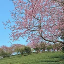 龙岩旅游 缩略图 6