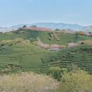 龙岩旅游 缩略图 2