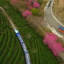 福州旅游 缩略图 4