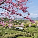 福州旅游 缩略图 6