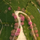 福州旅游 缩略图 6