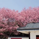 福州旅游 缩略图 1