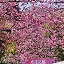 福州旅游 缩略图 3