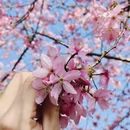 福州旅游 缩略图 8