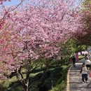 福州旅游 缩略图 4