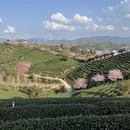 龙岩旅游 缩略图 3