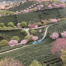 龙岩旅游 缩略图 4