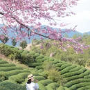 龙岩旅游 缩略图 4
