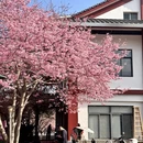 龙岩旅游 缩略图 7