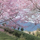 龙岩旅游 缩略图 6