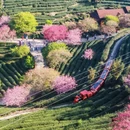 漳州旅游 缩略图 1