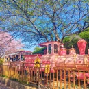 漳州旅游 缩略图 3